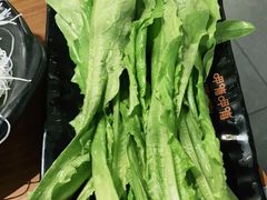 莜麦菜-呷哺呷哺(松北万象汇店)