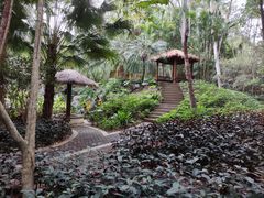 -深圳国际园林花卉博览园