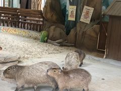 -泉城欧乐堡梦幻世界