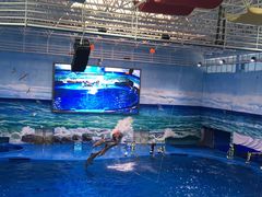 -多彩贵州城极地海洋世界