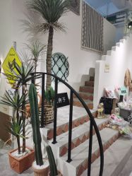 -好看加白色房子