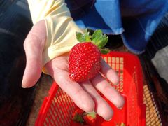 -深圳海边小筑客栈