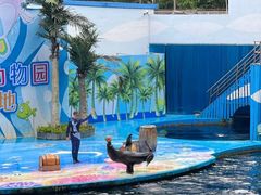 -深圳野生动物园