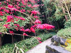 -梭布垭石林景区