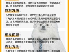 -申普宠物医院·心脏介入·心血管微创(总院)