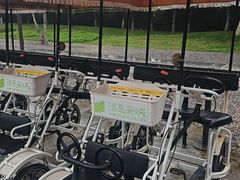 -汉长安城未央宫国家考古遗址公园