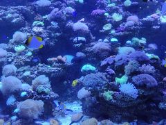 -太平洋海底世界