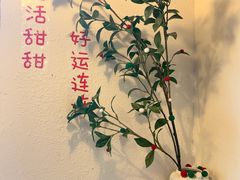 -树夏Tree Summer