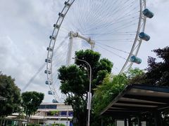 -新加坡摩天观景轮