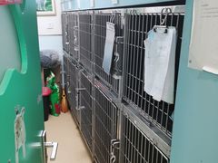 -瑞派·关忠动物医院·猫专科·犬专科(三环新城店)