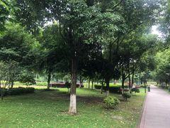 -重庆彩云湖湿地公园