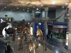 -国家自然博物馆