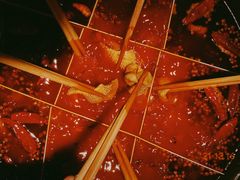 -朱氏胖子烂火锅(洪崖洞店)