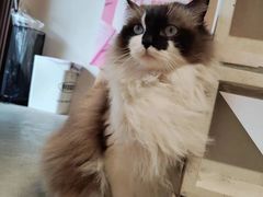 -seeu coffee(江滩店)