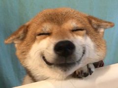 -三点小吃(山大店)