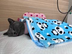 -达爱动物医院·犬猫分区·CT·复杂眼科(远洋山水分院)