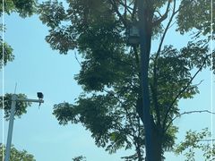 -古宇湖风景名胜区