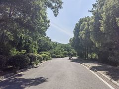 -南京市江宁方山