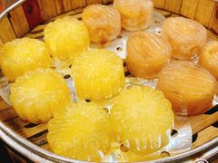 -百丈园龙江啫神馆