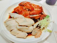 -侨美·唐荔园·40年地道粤菜