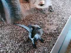 -昆明大悦城未来动物城(螺蛳湾中心店)