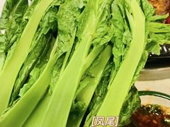 -水巷子·巴掌腰片重庆火锅(巧家店)