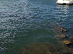 -珍珠港国家纪念馆