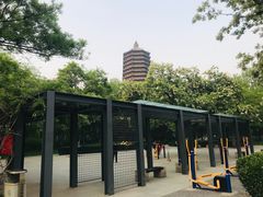-玲珑塔公园