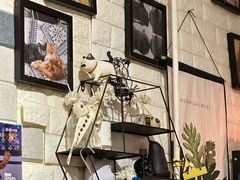-平行世界·猫咖(首经贸店)