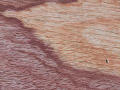 -林芝工布庄园希尔顿酒店-猎味中餐厅