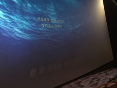 -英皇UA电影城(虹桥天地店)