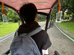 -张坝桂圆林公园