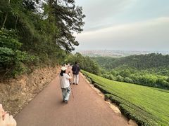 -敬亭山风景名胜区