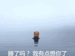 -同合居·非遗东北菜(红博会展店)