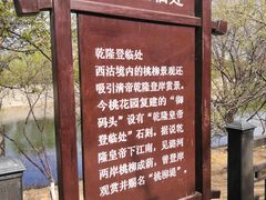 -桃花堤公园