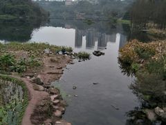 -重庆彩云湖湿地公园