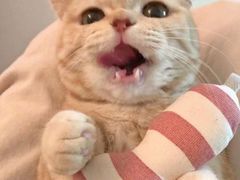 -半天妖烤鱼(芝罘万达店)