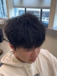 点击看大图 -GANO HAIR