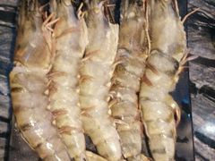 -熊出没日本烧肉放题