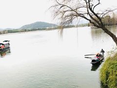 -鲁镇