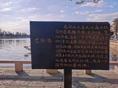 -龙舟池