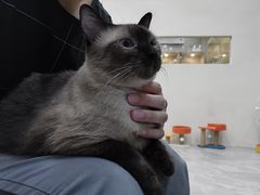 -猫力发电所·宠物专门店