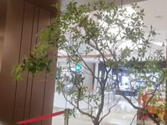 -火地铁板烧(昆山万象汇店)