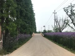 -乌村