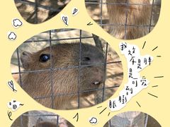 -宁波野生动物园