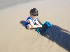 -奉贤海滩