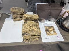 -上海跨国采购会展中心