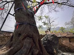 -南窖乡水峪村山情农家