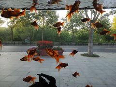 -石家庄市动物园