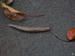 -中国丝业博物馆